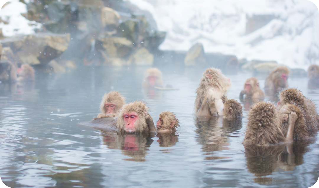 長野での暮らしと誇り